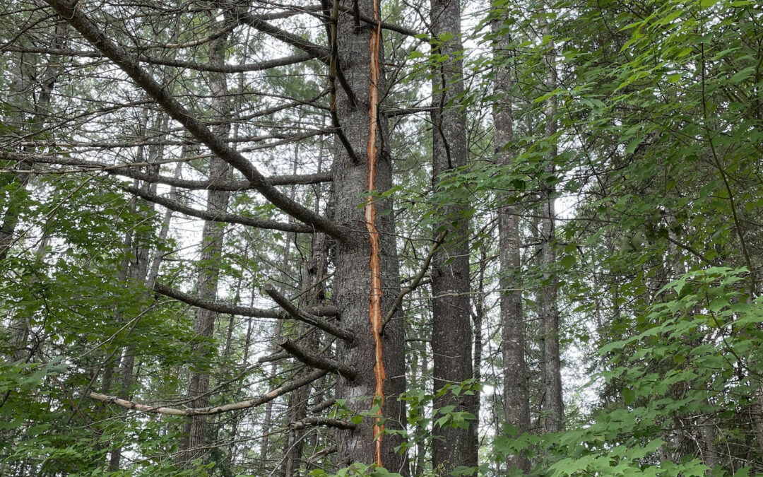 Lightning Strikes